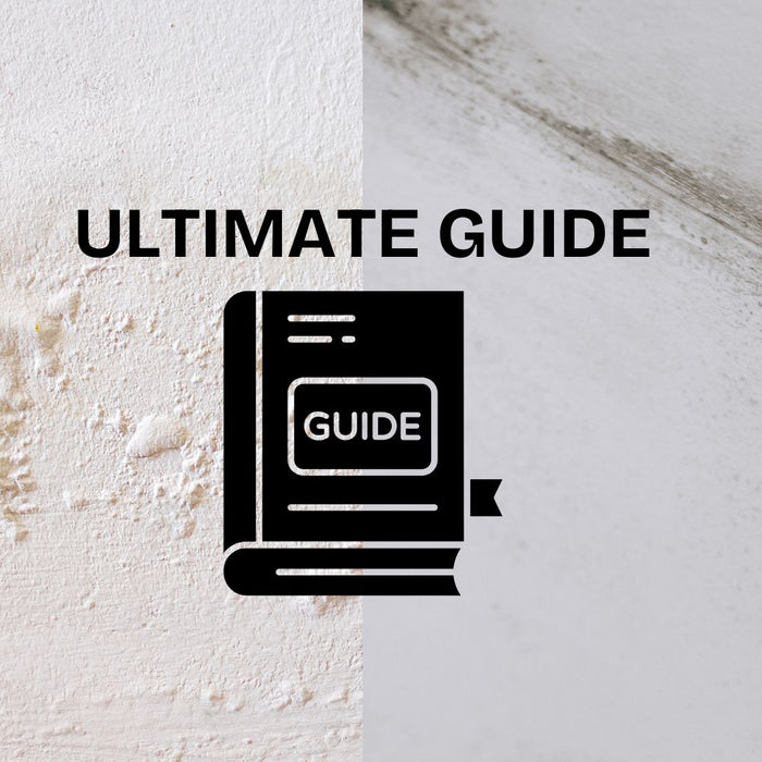 Ultimate Guide to Preventing Mould and Damp