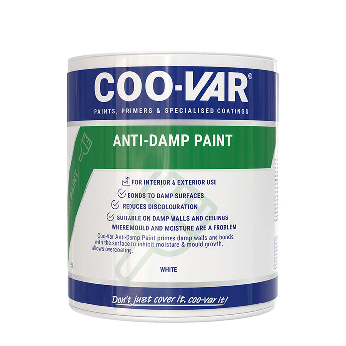 Anti-Damp Paint