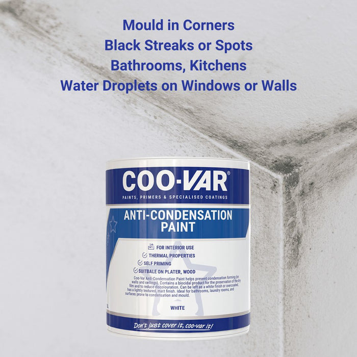 Paint to stop condensation forming to prevent mould