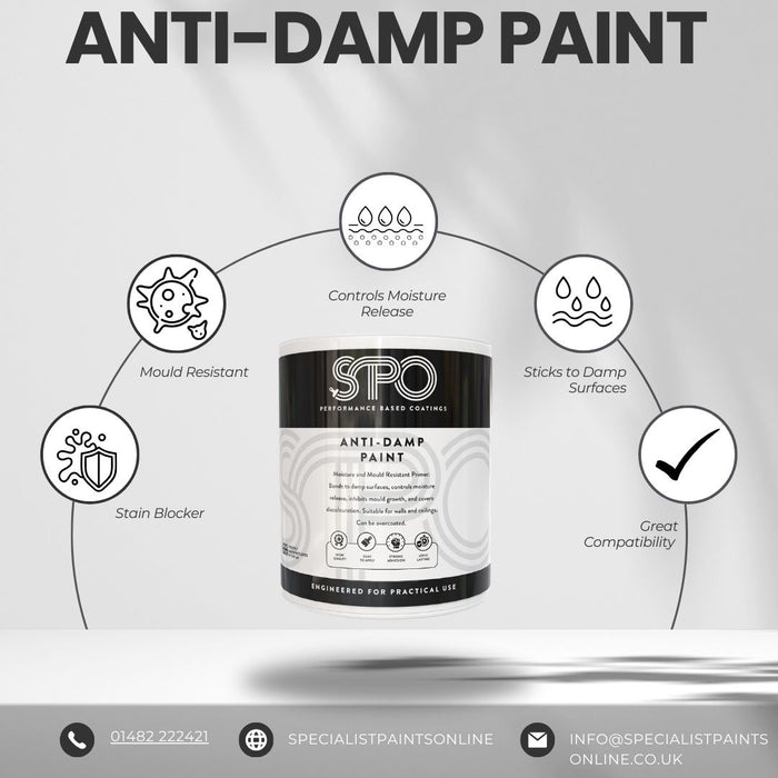 SPO Anti-Damp Paint Infographic